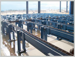 Chain Conveyors