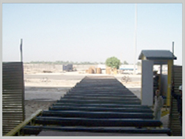 Chain Conveyors